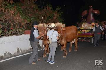 Romería popular en el Valle de los Nueve de Telde (Foto Francisco Javier Santana)